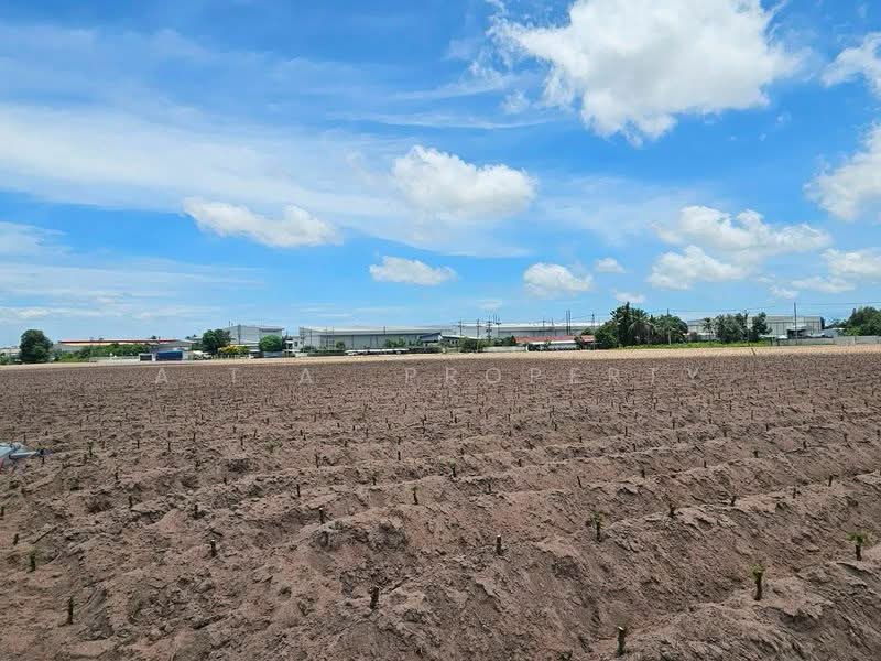 ที่ดิน ติดนิคมปิ่นทอง 4 ศรีราชา, Chon Buri (Pattaya), Bueng, Si Racha, Chon Buri (Pattaya), , 123,200 sqm, Land For Sale, by A.T.A. Property, 500495105 - DDproperty.com