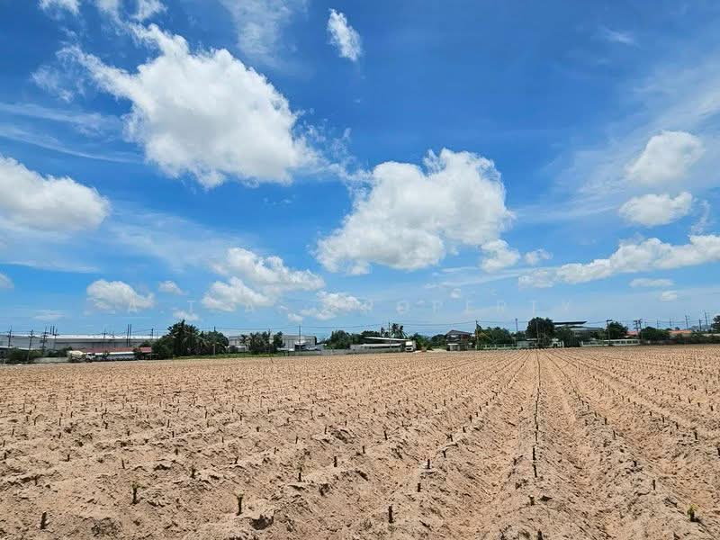 ที่ดิน ติดนิคมปิ่นทอง 4 ศรีราชา, Chon Buri (Pattaya), Bueng, Si Racha, Chon Buri (Pattaya), , 123,200 sqm, Land For Sale, by A.T.A. Property, 500495105 - DDproperty.com