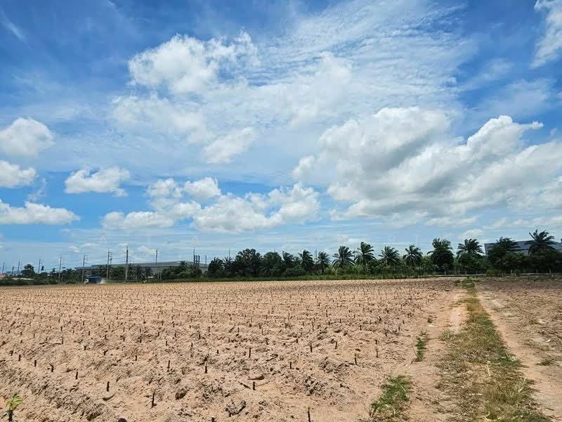 ที่ดิน ติดนิคมปิ่นทอง 4 ศรีราชา, Chon Buri (Pattaya), Bueng, Si Racha, Chon Buri (Pattaya), , 123,200 sqm, Land For Sale, by A.T.A. Property, 500495105 - DDproperty.com
