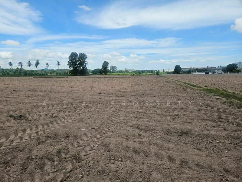 ที่ดิน ติดนิคมปิ่นทอง 4 ศรีราชา, Chon Buri (Pattaya), Bueng, Si Racha, Chon Buri (Pattaya), , 123,200 sqm, Land For Sale, by A.T.A. Property, 500495105 - DDproperty.com