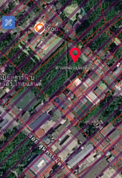 ที่ดินท้ายบ้าน สมุทรปราการ, Samut Prakan, Tai Ban, Muang Samut Prakarn, Samut Prakan, , 3,320 sqm, Land For Sale, by The Best Property แตงโม, 500495130 - DDproperty.com