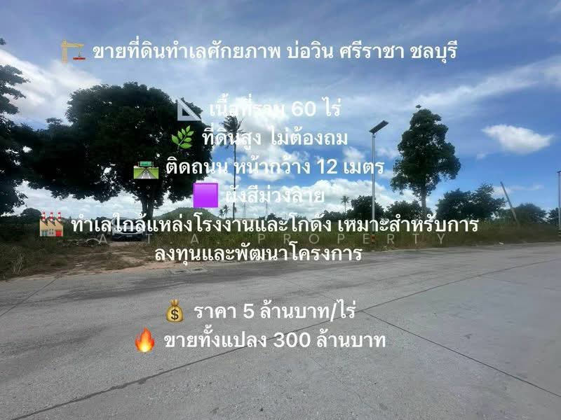ที่ดินทำเลศักยภาพ บ่อวิน ศรีราชา, Chon Buri (Pattaya), Bo Win, Si Racha, Chon Buri (Pattaya), , 96,000 sqm, Land For Sale, by A.T.A. Property, 500495143 - DDproperty.com