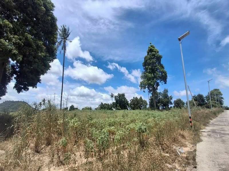 ที่ดินทำเลศักยภาพ บ่อวิน ศรีราชา, Chon Buri (Pattaya), Bo Win, Si Racha, Chon Buri (Pattaya), , 96,000 sqm, Land For Sale, by A.T.A. Property, 500495143 - DDproperty.com