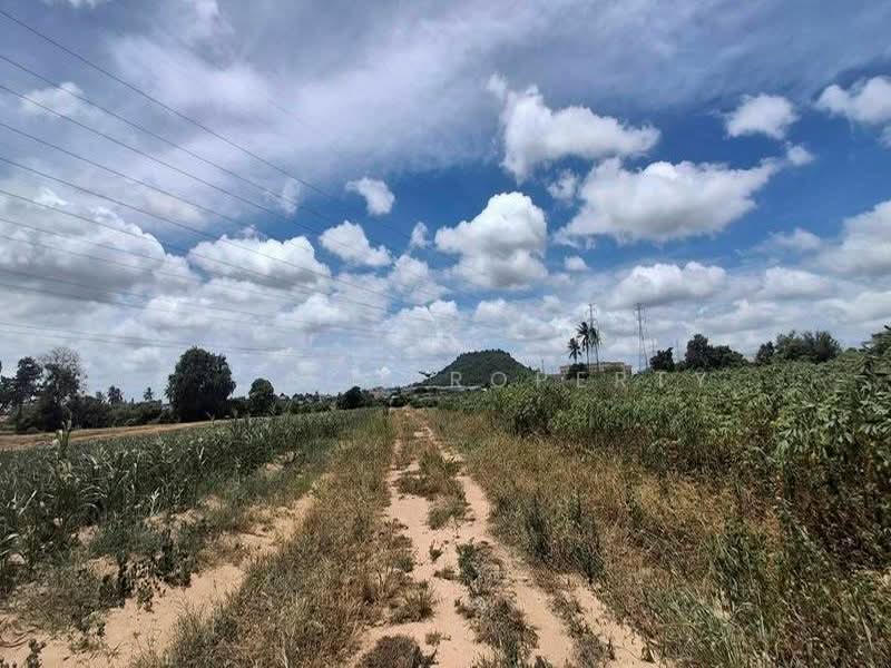 ที่ดินทำเลศักยภาพ บ่อวิน ศรีราชา, Chon Buri (Pattaya), Bo Win, Si Racha, Chon Buri (Pattaya), , 96,000 sqm, Land For Sale, by A.T.A. Property, 500495143 - DDproperty.com