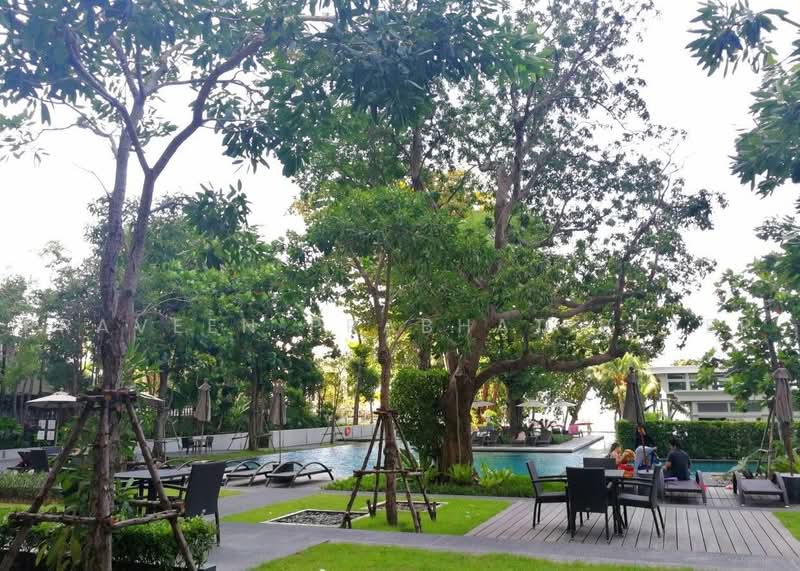 Zire Wongamat, Chon Buri (Pattaya), 456 Soi Naklua 18, Na Kloe, Bang Lamung (Pattaya), Chon Buri (Pattaya), 2 Bedrooms, 100 sqm, Condo For Rent, by Praveen Peter, 500495179 - DDproperty.com