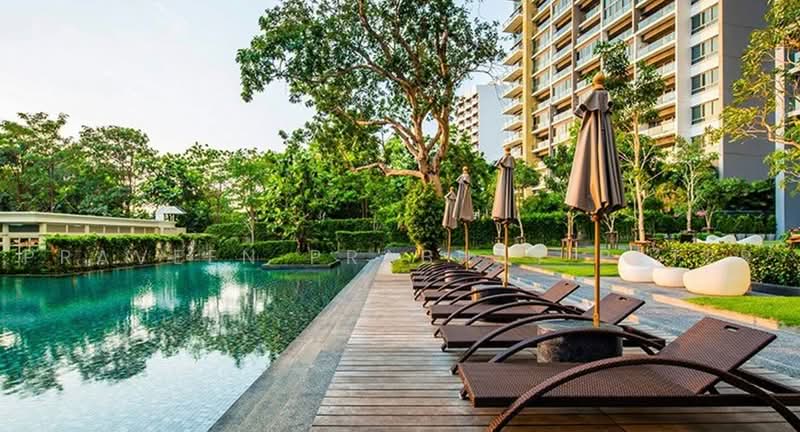 Zire Wongamat : ซายร์ วงศ์อมาตย์, ชลบุรี, 456 ซอยนาเกลือ 18, นาเกลือ, บางละมุง, ชลบุรี, 100 ตร.ม., คอนโด ให้เช่า, โดย Praveen Prabhat Peter, 500495179 - DDproperty.com