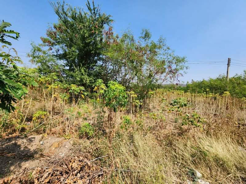 ขายที่ดินใกล้เขื่อนป่าสักชลสิทธิ์, Saraburi, Hin Son, Kaeng Khoi, Saraburi, , 22,072 sqm, Land For Sale, by Rachen Nopsuwan, 500495195 - DDproperty.com