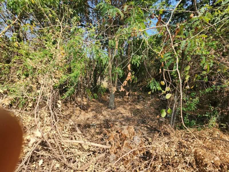 ขายที่ดินใกล้เขื่อนป่าสักชลสิทธิ์, Saraburi, Hin Son, Kaeng Khoi, Saraburi, , 22,072 sqm, Land For Sale, by Rachen Nopsuwan, 500495195 - DDproperty.com