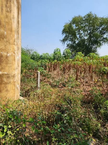 ขายที่ดินใกล้เขื่อนป่าสักชลสิทธิ์, Saraburi, Hin Son, Kaeng Khoi, Saraburi, , 22,072 sqm, Land For Sale, by Rachen Nopsuwan, 500495195 - DDproperty.com