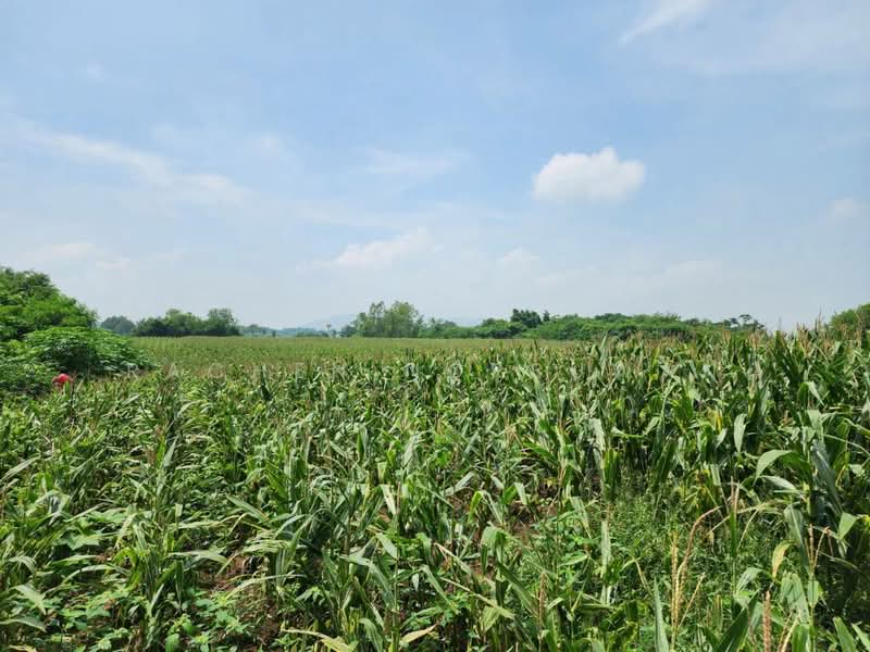 ขายที่ดินตำบลเขาหินซ้อน อำเภอแก่งคอย จ.สระบุรี, สระบุรี, หินซ้อน, แก่งคอย, สระบุรี, 22,072 ตร.ม., ที่ดิน ขาย, โดย Rachen Nopsuwan, 500495195 - DDproperty.com