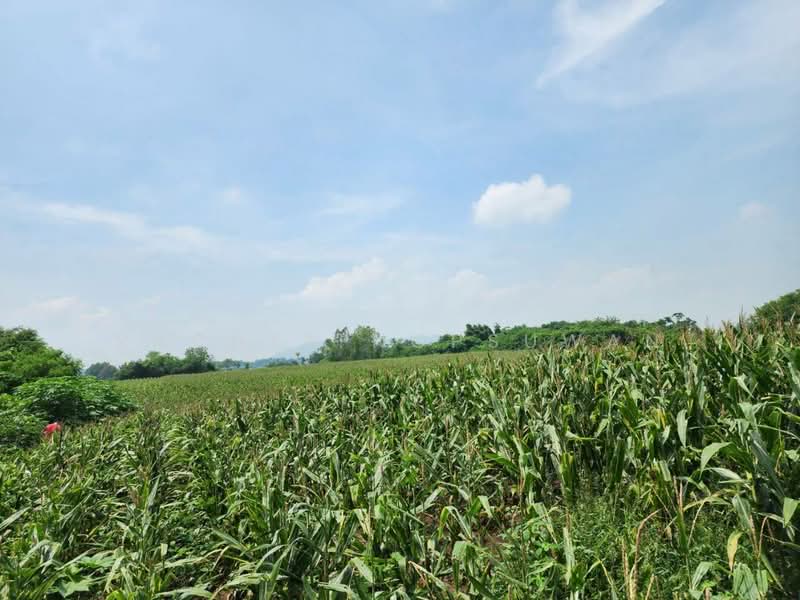 ขายที่ดินตำบลเขาหินซ้อน อำเภอแก่งคอย จ.สระบุรี, สระบุรี, หินซ้อน, แก่งคอย, สระบุรี, 22,072 ตร.ม., ที่ดิน ขาย, โดย Rachen Nopsuwan, 500495195 - DDproperty.com