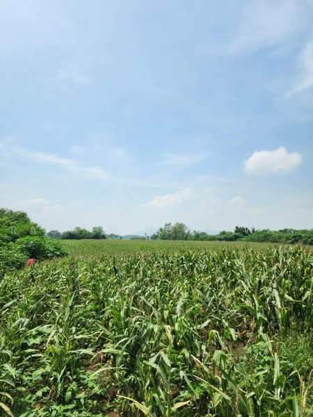 ขายที่ดินใกล้เขื่อนป่าสักชลสิทธิ์, Saraburi, Hin Son, Kaeng Khoi, Saraburi, , 22,072 sqm, Land For Sale, by Rachen Nopsuwan, 500495195 - DDproperty.com