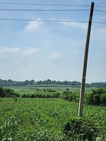 ขายที่ดินตำบลเขาหินซ้อน อำเภอแก่งคอย จ.สระบุรี, สระบุรี, หินซ้อน, แก่งคอย, สระบุรี, 22,072 ตร.ม., ที่ดิน ขาย, โดย Rachen Nopsuwan, 500495195 - DDproperty.com
