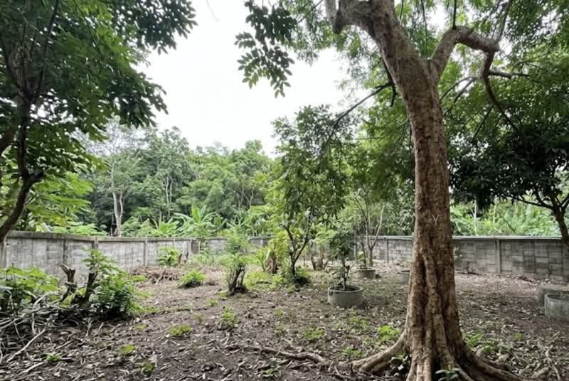 Land for rent, Ekkamai 22, 172 square wa, Bangkok, Khlong Tan Nua, Watthana, Bangkok, , 688 sqm, Land For Rent, by Lalita Sriploy, 500495270 - DDproperty.com