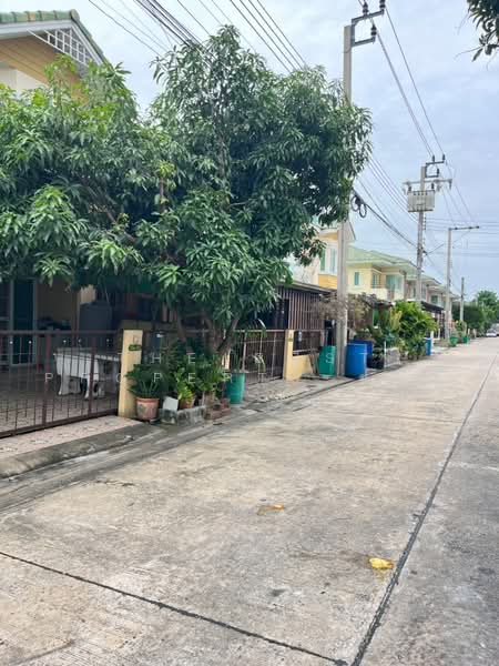 พิศาล บางกระดี่ 3, Bangkok, Samae Dam, Bang Khun Thian, Bangkok, 3 Bedrooms, 100 sqm, Townhouse For Sale, by The Best Property ขวัญ, 500495347 - DDproperty.com