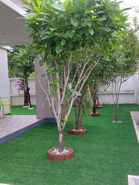 บ้าน 4-ห้องนอน, กรุงเทพ, พระบรมมหาราชวัง, พระนคร, กรุงเทพ, 155 ตร.ม., บ้านเดี่ยว ขาย, โดย Pemika Aukkaraleekul, 500495366 - DDproperty.com