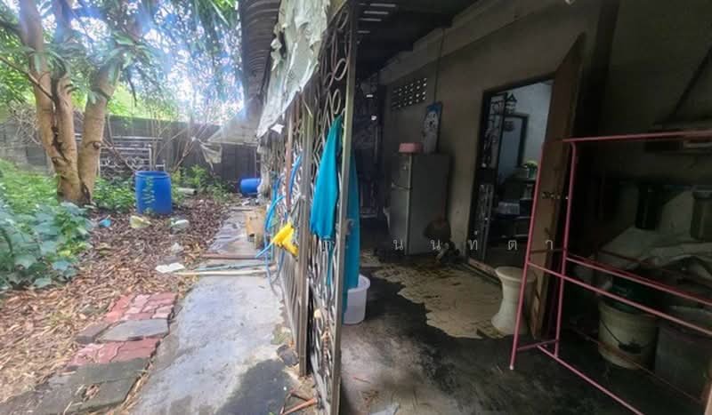 แยกไฟแดง ลำลูกกาคลอง 8, ปทุมธานี, ลำลูกกา, ปทุมธานี, 500 ตร.ม., บ้านเดี่ยว ขาย, โดย ชนะชาติ นนท์ตา, 500495384 - DDproperty.com