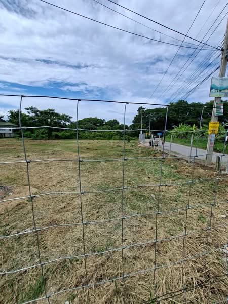 Beautiful Land for sales at San Sai District, Chiangmai, Chiang Mai, San Sai Luang, San Sai, Chiang Mai, , 2,148 sqm, Land For Sale, by Ubonrat Roemcharoendee, 500495498 - DDproperty.com