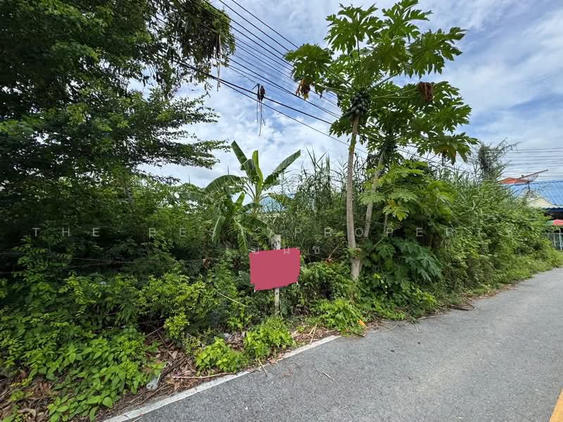 ที่ดินโพรงมะเดื่อ นครปฐม, Nakhon Pathom, Phrong Ma Dua, Muang Nakhon Pathom, Nakhon Pathom, , 420 sqm, Land For Sale, by The Best Property เบนซ์, 500495516 - DDproperty.com