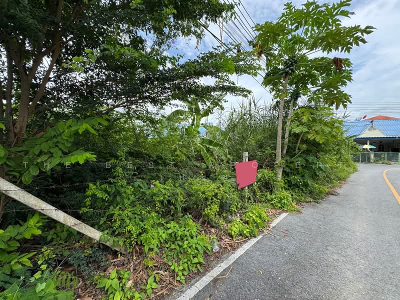 ที่ดินโพรงมะเดื่อ นครปฐม, Nakhon Pathom, Phrong Ma Dua, Muang Nakhon Pathom, Nakhon Pathom, , 420 sqm, Land For Sale, by The Best Property เบนซ์, 500495516 - DDproperty.com