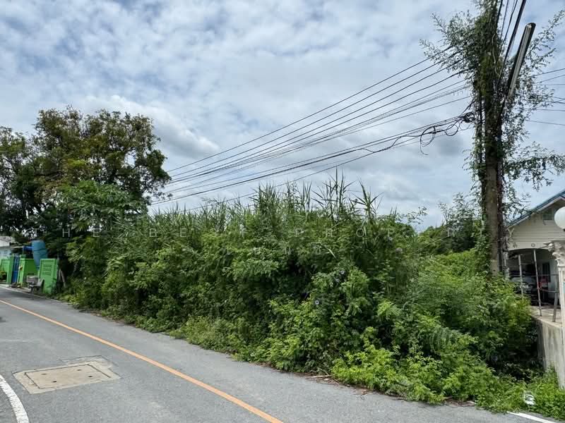 ที่ดินโพรงมะเดื่อ นครปฐม, Nakhon Pathom, Phrong Ma Dua, Muang Nakhon Pathom, Nakhon Pathom, , 420 sqm, Land For Sale, by The Best Property เบนซ์, 500495516 - DDproperty.com