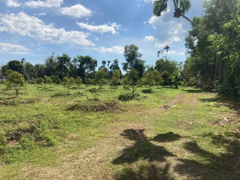 6 rai of land for sale in Thung Kwai Kin, with durian trees., Rayong, Thung Khwai Kin, Klaeng, Rayong, , 11,064 sqm, Land For Sale, by RICHWELL INTERPLUS, 500495626 - DDproperty.com