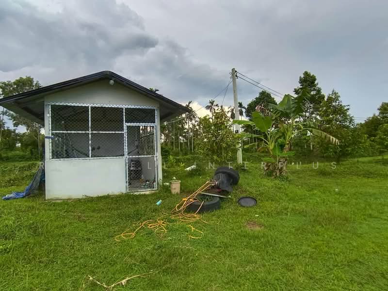 6 rai of land for sale in Thung Kwai Kin, with durian trees., Rayong, Thung Khwai Kin, Klaeng, Rayong, , 11,064 sqm, Land For Sale, by RICHWELL INTERPLUS, 500495626 - DDproperty.com