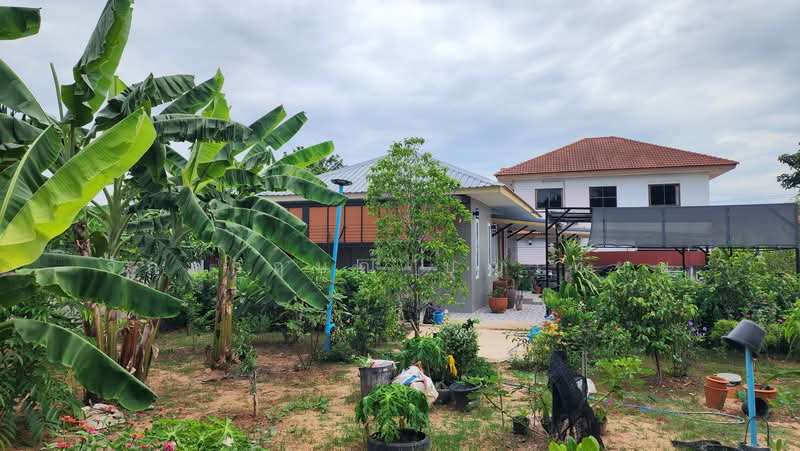 บ้านสวนหลังศูนย์ราชการ ขอนแก่น, ขอนแก่น, ในเมือง, เมืองขอนแก่น, ขอนแก่น, 50 ตร.ม., บ้านเดี่ยว ขาย, โดย จักรกฤษณ์ บุญเทียม, 500495685 - DDproperty.com