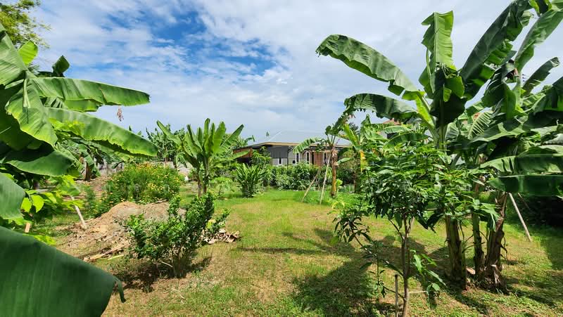 บ้านสวนหลังศูนย์ราชการ ขอนแก่น, Khon Kaen, Nai Muang, Muang Khon Kaen, Khon Kaen, 2 Bedrooms, 50 sqm, Single Detached House For Sale, by Jackrit Boontiam, 500495685 - DDproperty.com