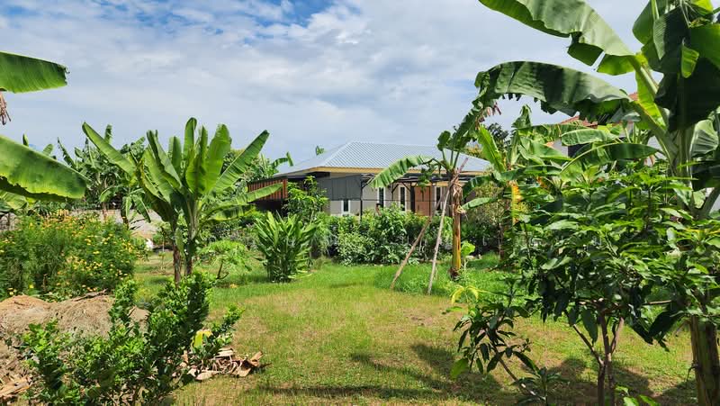 บ้านสวนหลังศูนย์ราชการ ขอนแก่น, ขอนแก่น, ในเมือง, เมืองขอนแก่น, ขอนแก่น, 50 ตร.ม., บ้านเดี่ยว ขาย, โดย จักรกฤษณ์ บุญเทียม, 500495685 - DDproperty.com