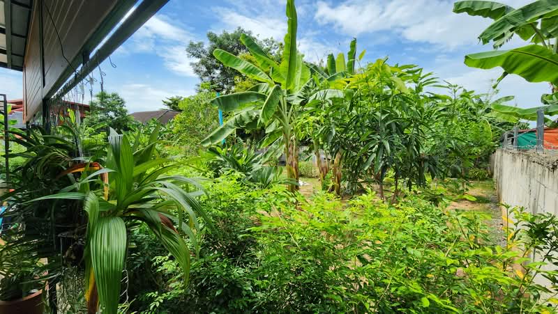 บ้านสวนหลังศูนย์ราชการ ขอนแก่น, ขอนแก่น, ในเมือง, เมืองขอนแก่น, ขอนแก่น, 50 ตร.ม., บ้านเดี่ยว ขาย, โดย จักรกฤษณ์ บุญเทียม, 500495685 - DDproperty.com