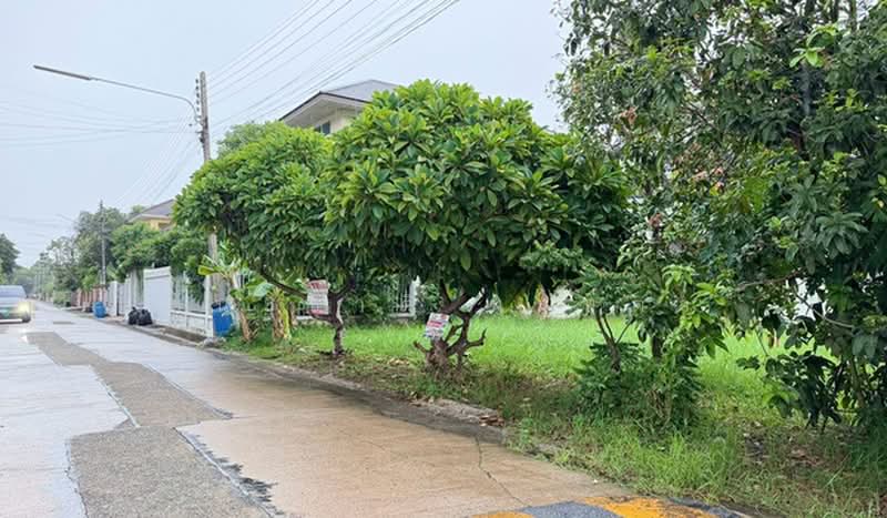 Maneerin Lake & Lagoon, Pathum Thani, บ้านกลาง , เมืองปทุมธานี , ปทุมธานี, Ban Klang, Muang Pathum Thani, Pathum Thani, , 220 sqm, Land For Sale, by ชนะชาติ นนท์ตา, 500495887 - DDproperty.com