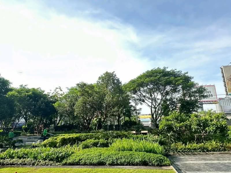 Modiz Sukhumvit 50 : โมดิซ สุขุมวิท 50, กรุงเทพ, ซอยสุขุมวิท 50, พระโขนง, คลองเตย, กรุงเทพ, 37 ตร.ม., คอนโด ให้เช่า, โดย Vinai Wattana, 500495943 - DDproperty.com
