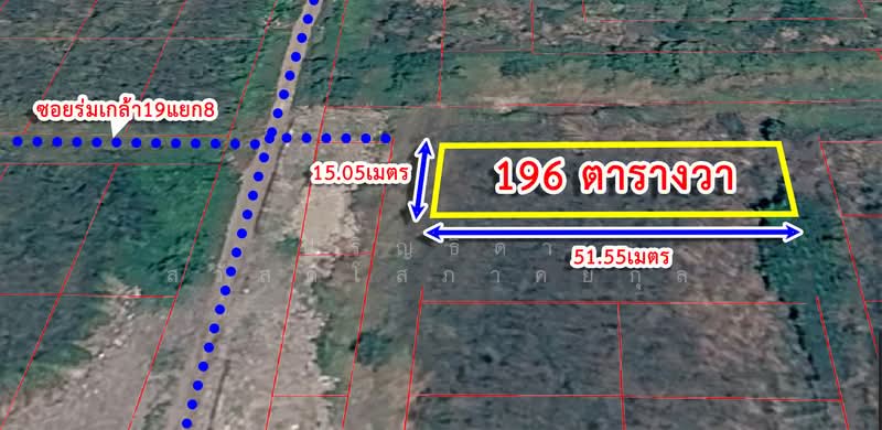 Vacant land for sale, 196 sq.wa. (approximately 764 sq.m.), prime location, Soi Rom Klao 19 (near Su, Bangkok, ถนนร่มเกล้า, Khlong Sam Prawet, Lat Krabang, Bangkok, , 784 sqm, Land For Sale, by Parinthida Sawuddisopakaykul, 500495957 - DDproperty.com