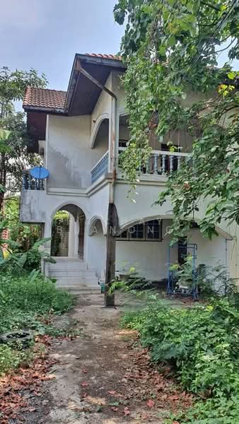 3-BR House, Bangkok, Nong Bon, Prawet, Bangkok, 3 Bedrooms, 240 sqm, Single Detached House For Sale, by Thachaya Buanong, 500495994 - DDproperty.com