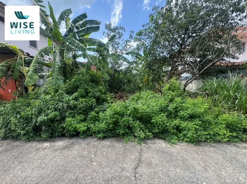 Baan Prueksa 2 (Khlong 8), Pathum Thani, Rangsit - Nakhon Nayok Road, Lam Phak Kut, Thanyaburi, Pathum Thani, , 240 sqm, Land For Sale, by Pimprapai P., 500496049 - DDproperty.com