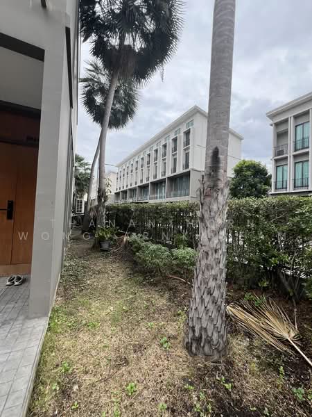 Patio Ratchayothin, Bangkok, Phahonyothin 32, Chan Kasem, Chatuchak, Bangkok, 3 Bedrooms, 263 sqm, Townhouse For Sale, by Thananthorn Wongvarnkaseam, 500496285 - DDproperty.com