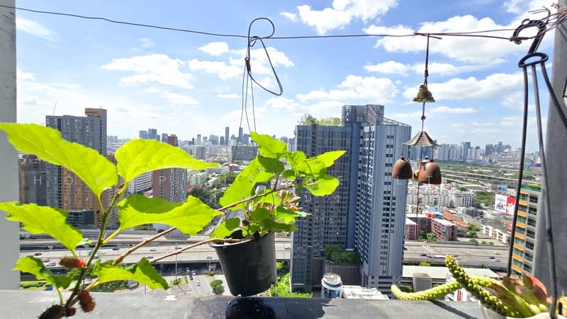 The Capital Ratchaprarop-Vibhavadi, Bangkok, 99 Thanon Asok-Din Daeng, Samsen Nai, Phaya Thai, Bangkok, 1 Bedroom, 32 sqm, Condo For Sale, by HOMEPLUS REALTY - คุณหนึ่ง, 500496338 - DDproperty.com