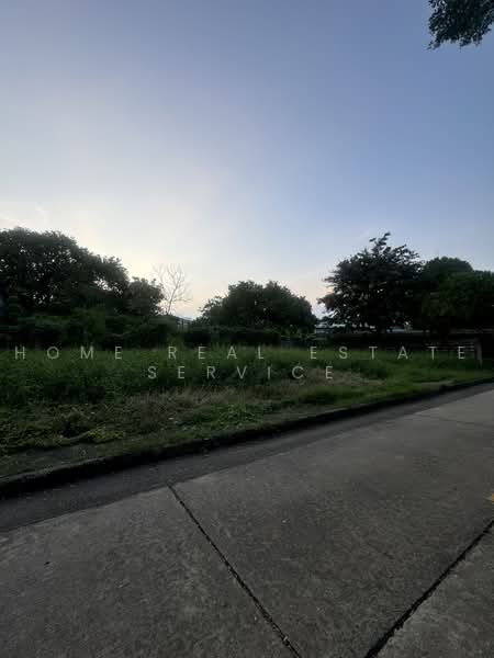 Panya Pattanakarn Village : หมู่บ้านปัญญา พัฒนาการ, กรุงเทพ, ซอยพัฒนาการ 30, สวนหลวง, กรุงเทพ, 1,188 ตร.ม., ที่ดิน ขาย, โดย HOME Real Estate Service, 500496343 - DDproperty.com