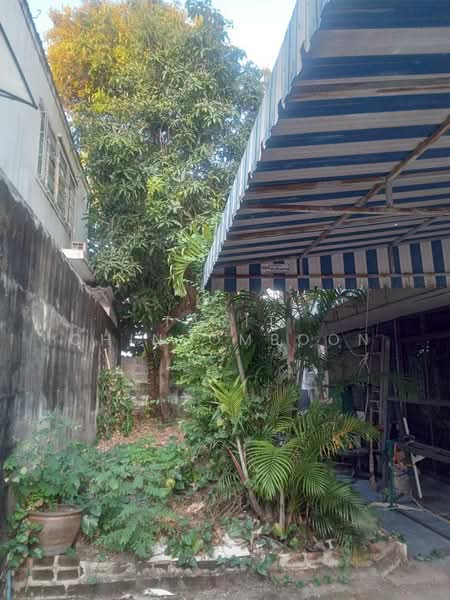 บ้าน 3-ห้องนอน, กรุงเทพ, จอมพล, จตุจักร, กรุงเทพ, 200 ตร.ม., บ้านเดี่ยว ให้เช่า, โดย Tarit Chinsomboon, 500496380 - DDproperty.com