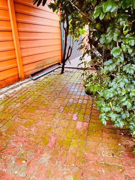 Baan Klang Muang Urbanion Kaset - Nawamin 2 : บ้านกลางเมือง เออร์บาเนี่ยน เกษตร - นวมินทร์ 2, กรุงเทพ, ถนนลาดปลาเค้า, อนุสาวรีย์, บางเขน, กรุงเทพ, 170 ตร.ม., ทาวน์เฮ้าส์ ให้เช่า, โดย ปรินทร์ญาดา ชิณโชติ, 500496492 - DDproperty.com