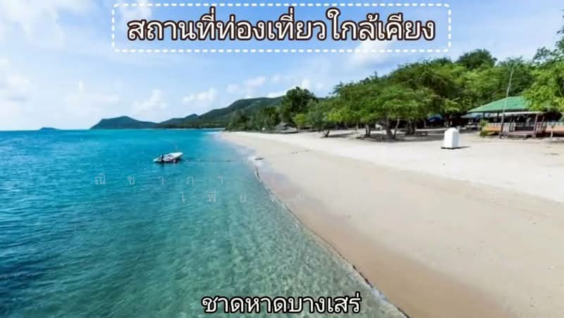 ใจกลางเมืองพัทยา - ซอยทัพพระยา ตำบลหนองปรือ อำเภอบางละมุง จังหวัดชลบุรี, ชลบุรี, ถนนซอยบางเสร่, บางเสร่, สัตหีบ, ชลบุรี, 2,764 ตร.ม., ที่ดิน ขาย, โดย ณิชาภา (คุณดาว) เพียจันทร์, 500496498 - DDproperty.com