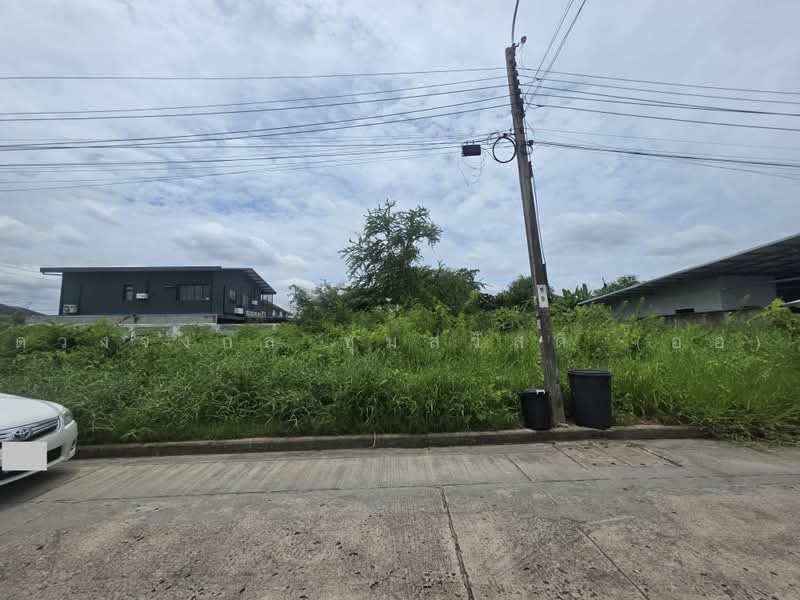 Chatchada Villa : ชัชฎาวิลล่า, กรุงเทพ, ถนนบางแวก, บางไผ่, บางแค, กรุงเทพ, 240 ตร.ม., ที่ดิน ขาย, โดย ดวงจงกล ชุ่มสวัสดิ์ (ออ), 500496628 - DDproperty.com