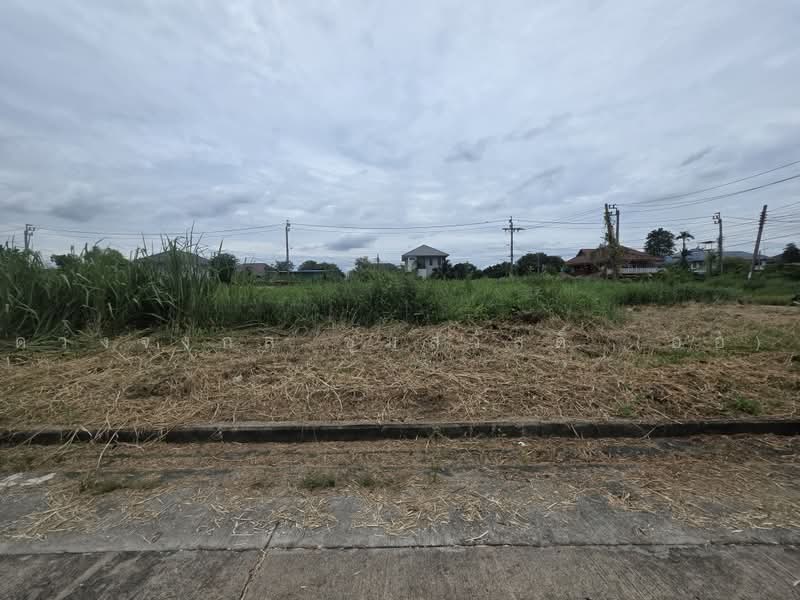 Chatchada Villa : ชัชฎาวิลล่า, กรุงเทพ, ถนนบางแวก, บางไผ่, บางแค, กรุงเทพ, 240 ตร.ม., ที่ดิน ขาย, โดย ดวงจงกล ชุ่มสวัสดิ์ (ออ), 500496628 - DDproperty.com