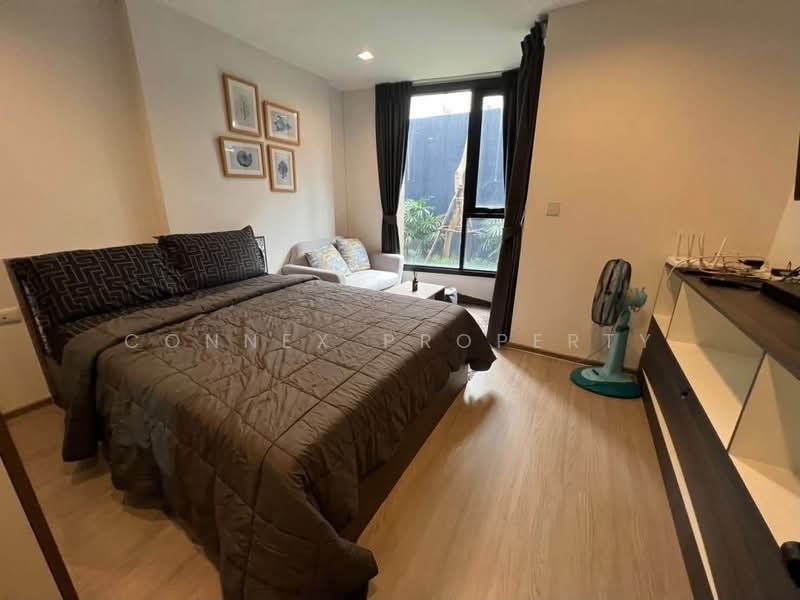 The Base Central, Phuket, Chao Fah Tawan Tok Rd, Wichit, Muang Phuket, Phuket, 1 Bedroom, 26 sqm, Condo For Rent, by Connex Property, 500496709 - DDproperty.com