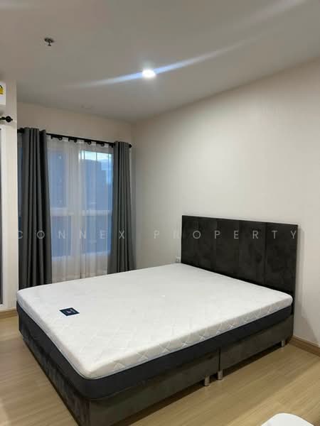 Supalai Veranda Ramkhamhaeng, Bangkok, Ramkhamhaeng Road, Hua Mak, Bang Kapi, Bangkok, 1 Bedroom, 30 sqm, Condo For Rent, by Connex Property, 500496729 - DDproperty.com