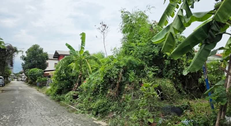 ที่ดินคลองสามวา กรุงเทพมหานคร, Bangkok, Sam Wa Tawan Ok, Khlong Sam Wa, Bangkok, , 78 sqm, Land For Sale, by The Best Property ต้อย, 500496879 - DDproperty.com