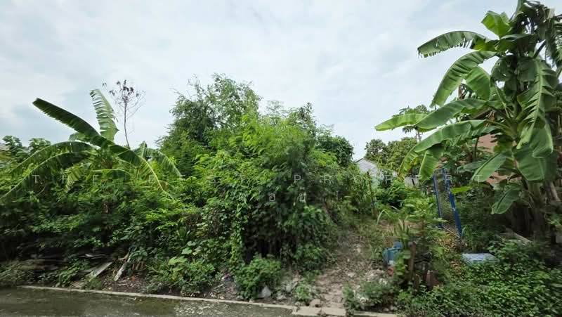 ที่ดินคลองสามวา กรุงเทพมหานคร, Bangkok, Sam Wa Tawan Ok, Khlong Sam Wa, Bangkok, , 78 sqm, Land For Sale, by The Best Property ต้อย, 500496879 - DDproperty.com