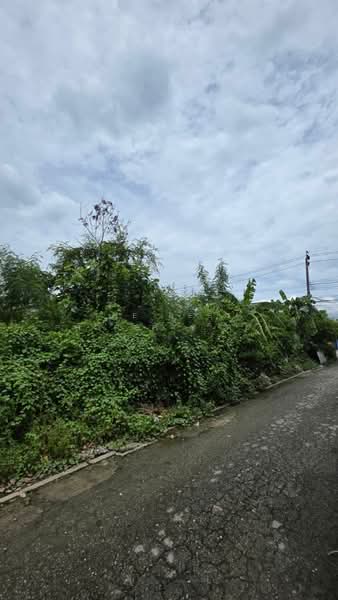 ที่ดินคลองสามวา กรุงเทพมหานคร, Bangkok, Sam Wa Tawan Ok, Khlong Sam Wa, Bangkok, , 78 sqm, Land For Sale, by The Best Property ต้อย, 500496879 - DDproperty.com