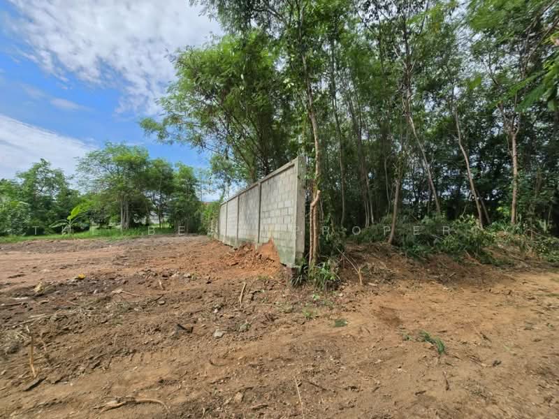 ที่ดินสัตหีบ ชลบุรี, Chon Buri (Pattaya), Sattahip, Chon Buri (Pattaya), , 360 sqm, Land For Sale, by The Best Property เจ, 500496910 - DDproperty.com